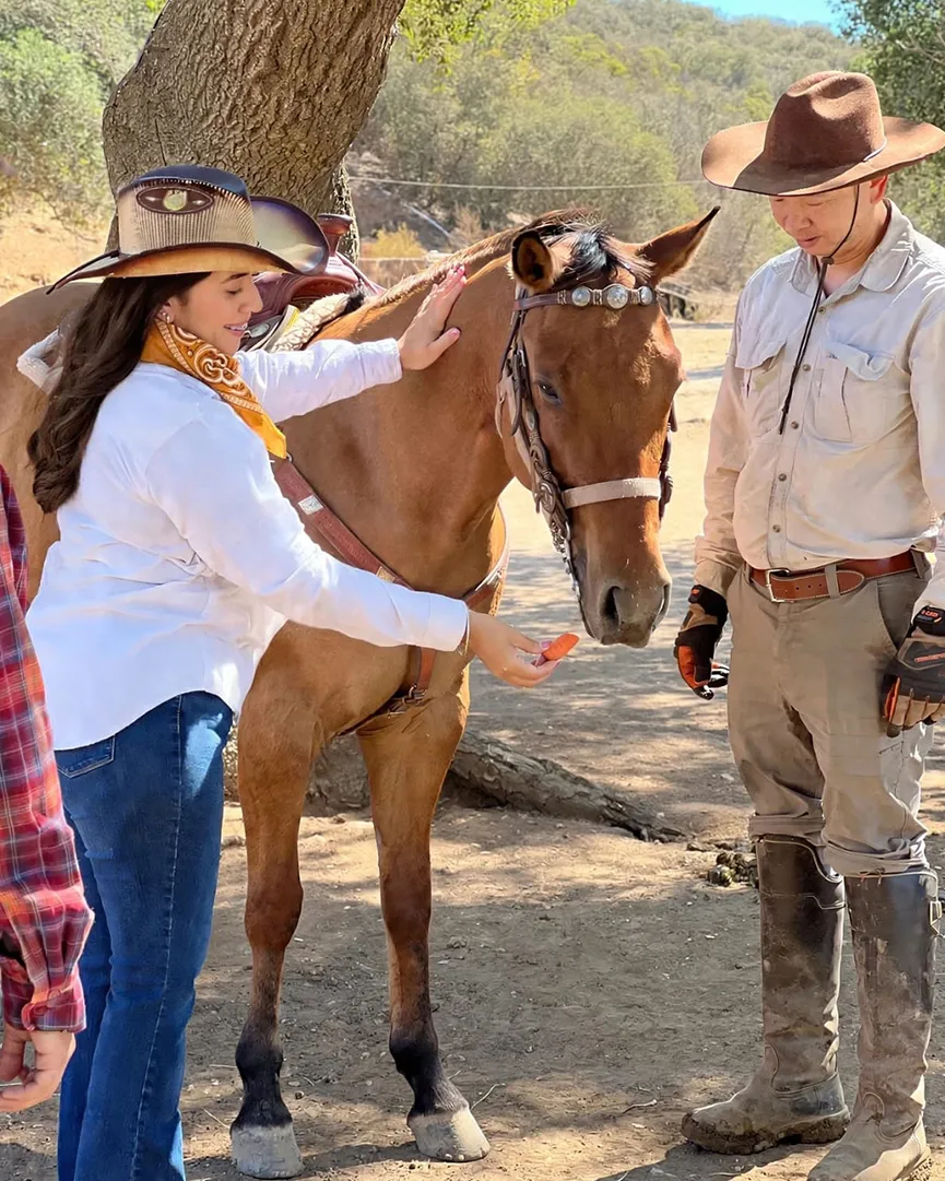 ENCUENTRO CON LOS CABALLOS